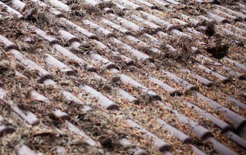 Cridling Stubbs roof cleaning companies