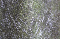 Cridling Stubbs fibreglass roof work